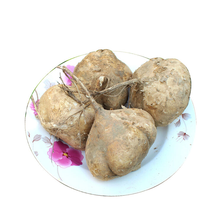 湖北天门 新鲜凉薯 沙葛 2.5kg