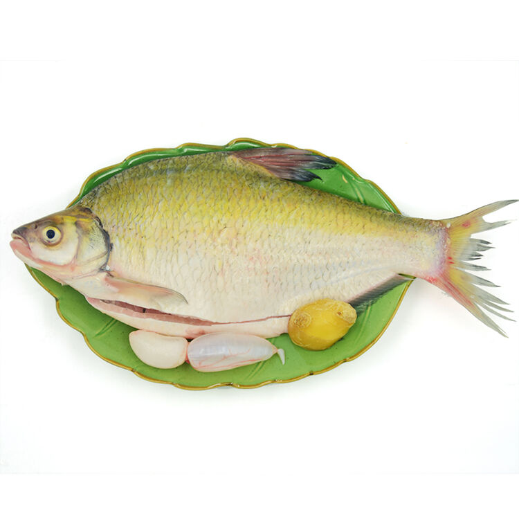 农谣 野生淡水鱼 野生鳊鱼 500g(净膛)现杀 浅灰色