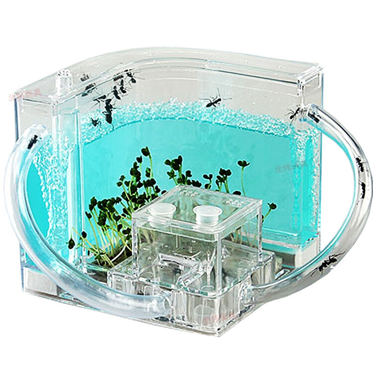 贝伦多 新奇特生态玩具蚂蚁工坊城堡儿童礼物 蚂蚁城堡宫殿工坊 带