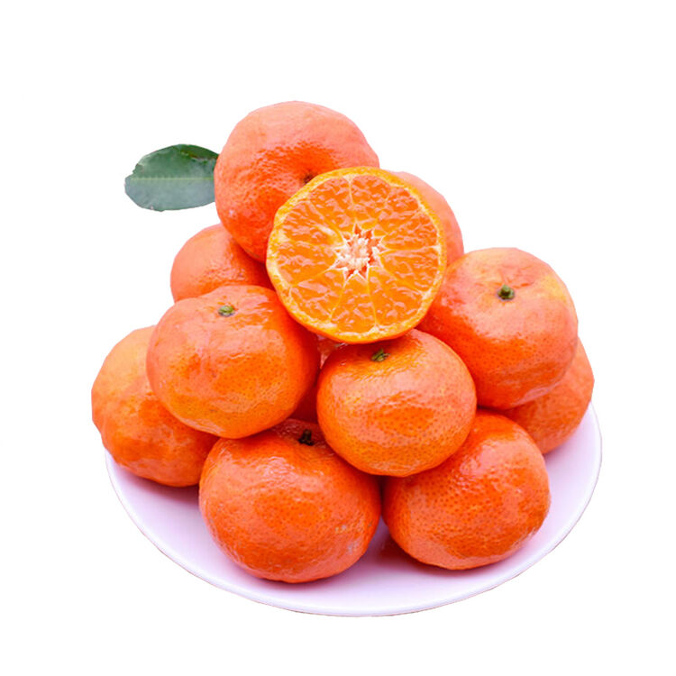 淅川砂糖桔 蜜桔橘子 水果桔子 新鲜水果 2500g装