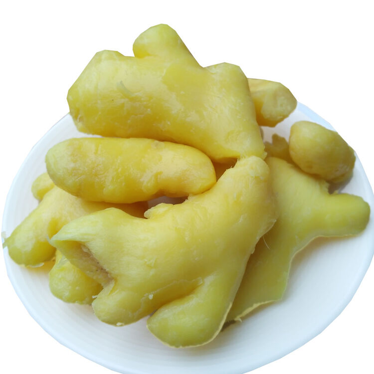 湖南益阳特产湿甜辣姜白黄姜坨块砣白玉姜500克 甜味黄姜