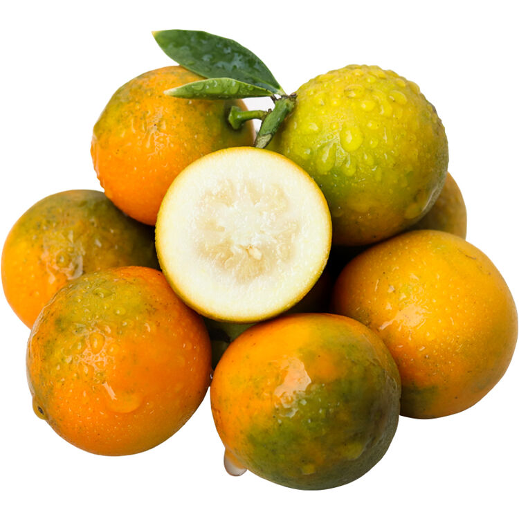 桂林金桔 新鲜水果金橘 脆皮金桔 小金橘子 非砂糖橘皇帝柑 4斤