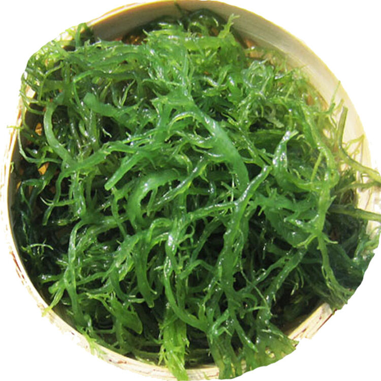 盐渍海发菜 头发菜 寿司海藻 绿藻 龙须菜凉拌菜 6斤