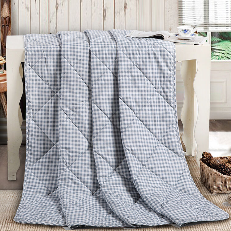 艾薇 被芯家纺 可水洗机洗夏凉被 单人空调被 夏天薄被子 蓝格 150*