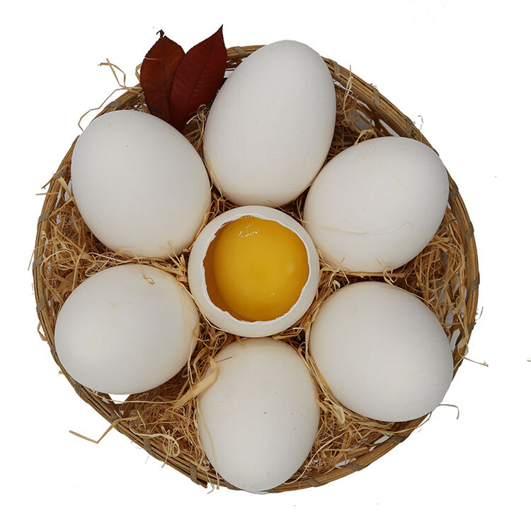 汶优香 新鲜鹅蛋 农家散养 生的土大鹅蛋 处子 单