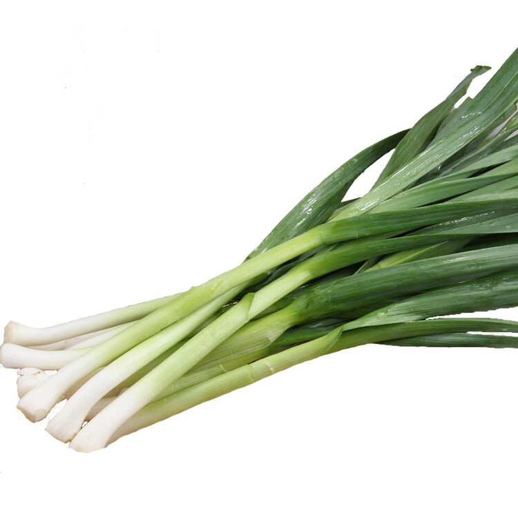 中心期刊《我国蔬菜》声明打假后仿冒网站仍在运营并收取版面费