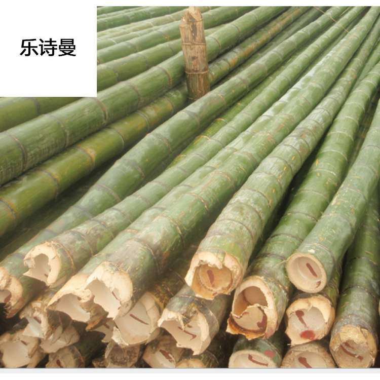 乐诗曼 楠竹竿毛竹竿.