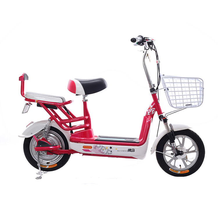 gamma/捷马电动车14寸铅酸电池48v12ah电动车   智梦 炫红/晶莹白