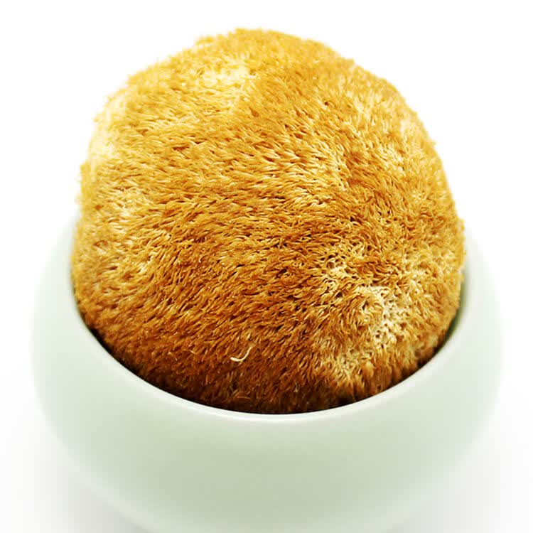 钜富长白山猴头菇150g 干货 猴头菌 猴头蘑 东北特产