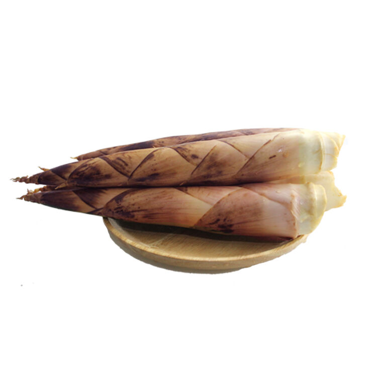 浙江临安天目山雷笋5斤高山春笋 新鲜现挖红壳笋竹笋冬笋包邮