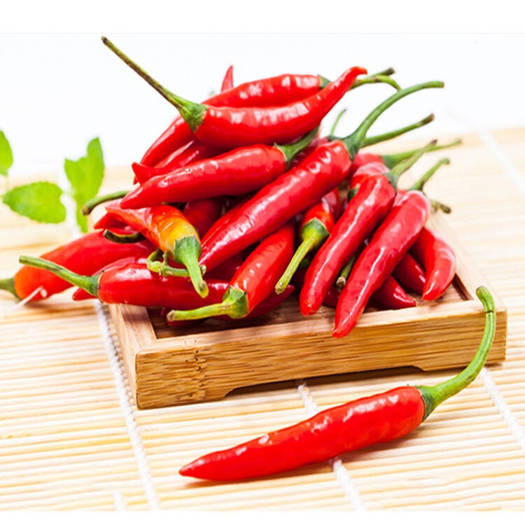 汤塘竹山 新鲜 农家 朝天椒 约250g 小米椒 辣椒 新鲜蔬菜
