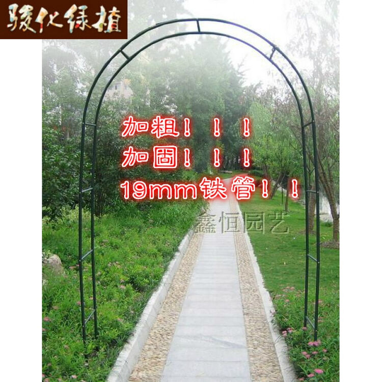 墨绿色门宽230*240 中等