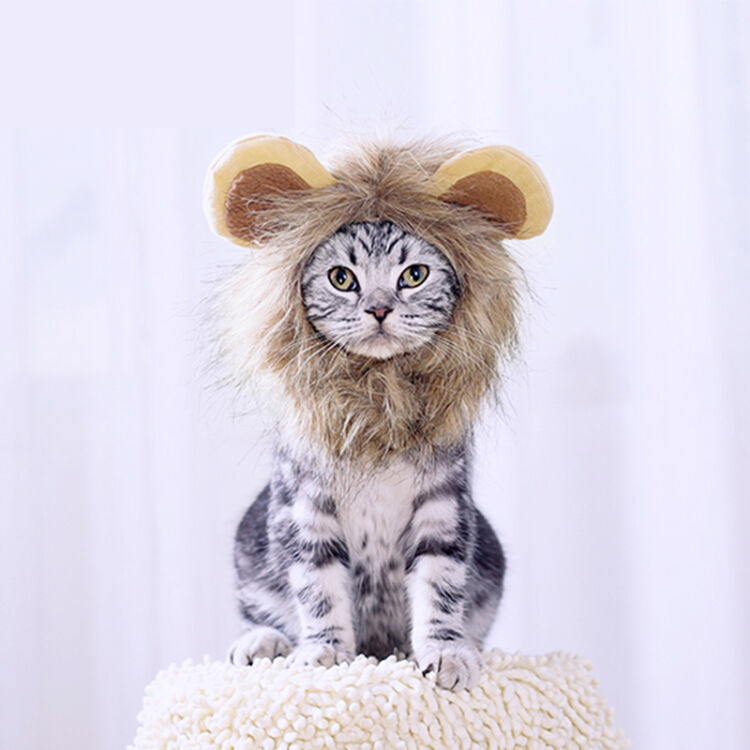 猫咪狮子头套可爱猫帽子宠物狗假发变装帽搞笑头饰搞怪小猫咪饰品