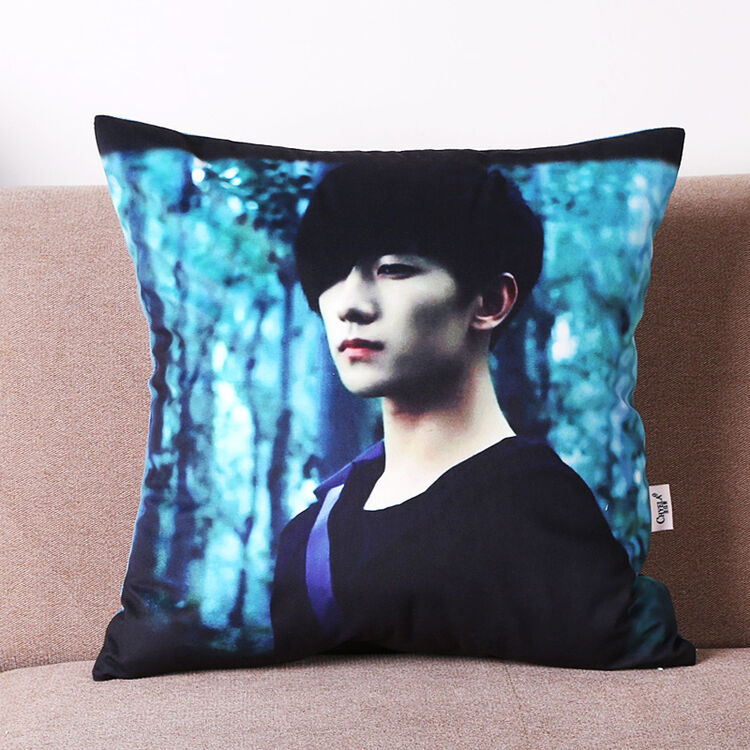 抱枕靠垫 短毛绒盗墓笔记抱枕靠枕 汽车沙发抱枕 沉默的张起灵 40cm*
