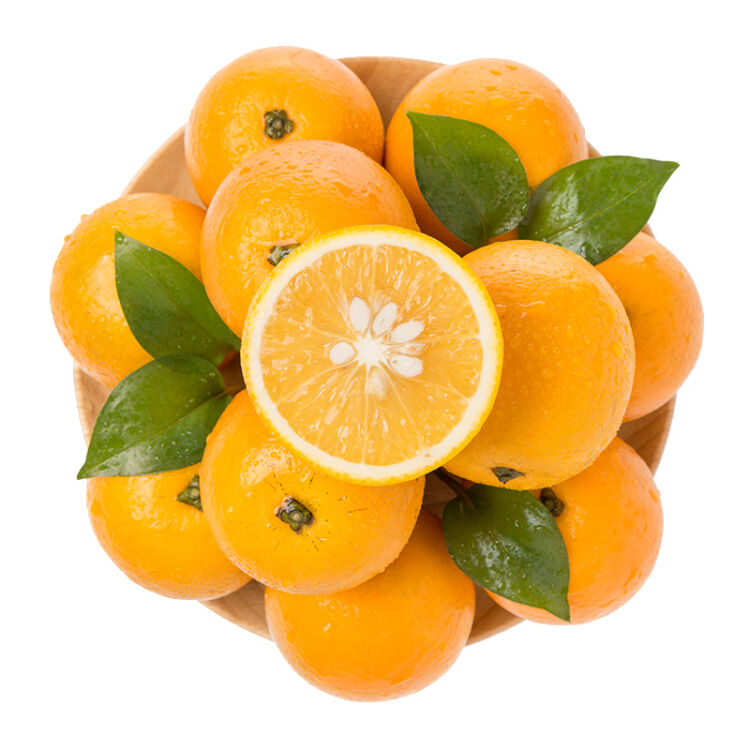 柳花橙子图片