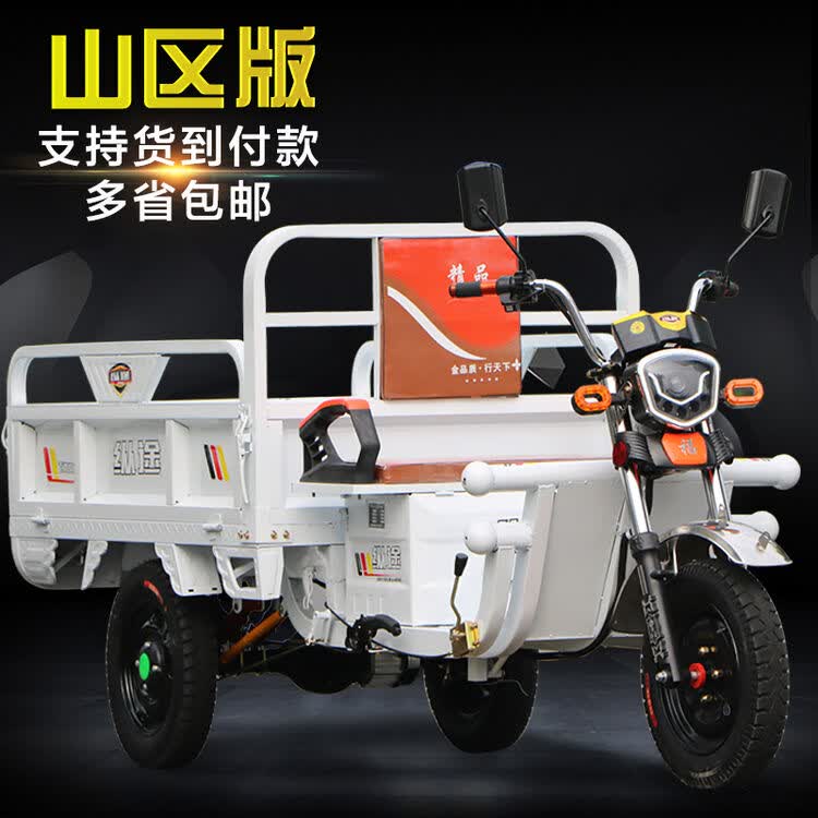 电动三轮车货车载重王农用车快递车家用新款拉货三轮车电动 1米3 1200