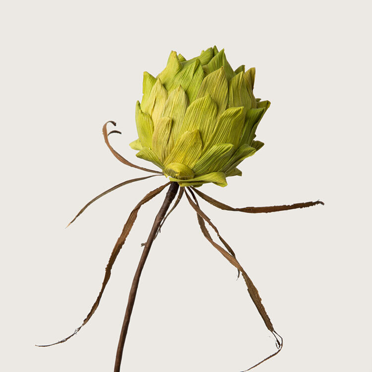 手工干花 装饰花仿真花 火龙果 家居仿真花艺术花艺 绿色