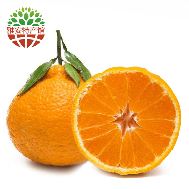【雅安馆】多吉祥农场 四川 不知火 丑橘 中大果 4个装 大果220-300g