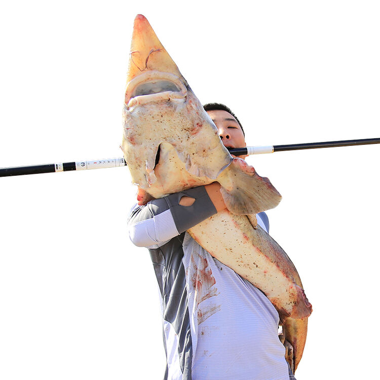 北溟鱼 鱼竿黑坑竿战戟二代大物竿青鲟鱼竿28调超硬巨物长竿9/10米