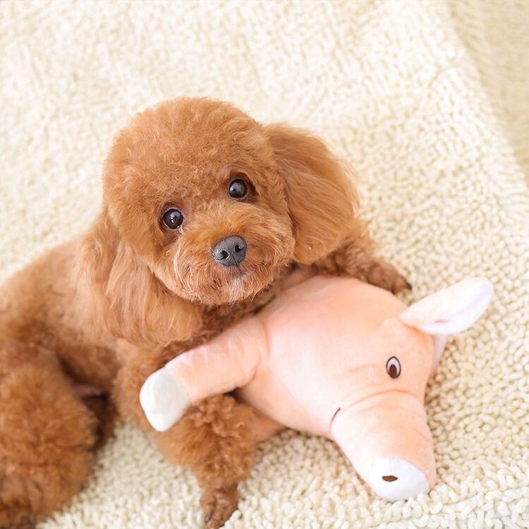 华元宠具(hoopet)狗狗发情发泄玩具宠物猪陪睡枕头泰迪法斗小型犬玩具