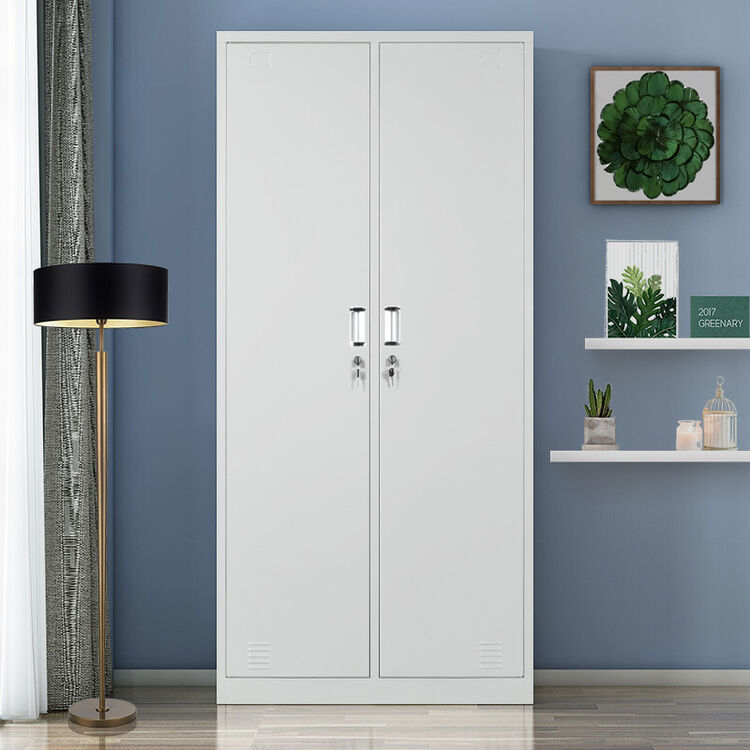 洛来宝 更衣柜 铁皮柜储物柜员工柜 二门柜