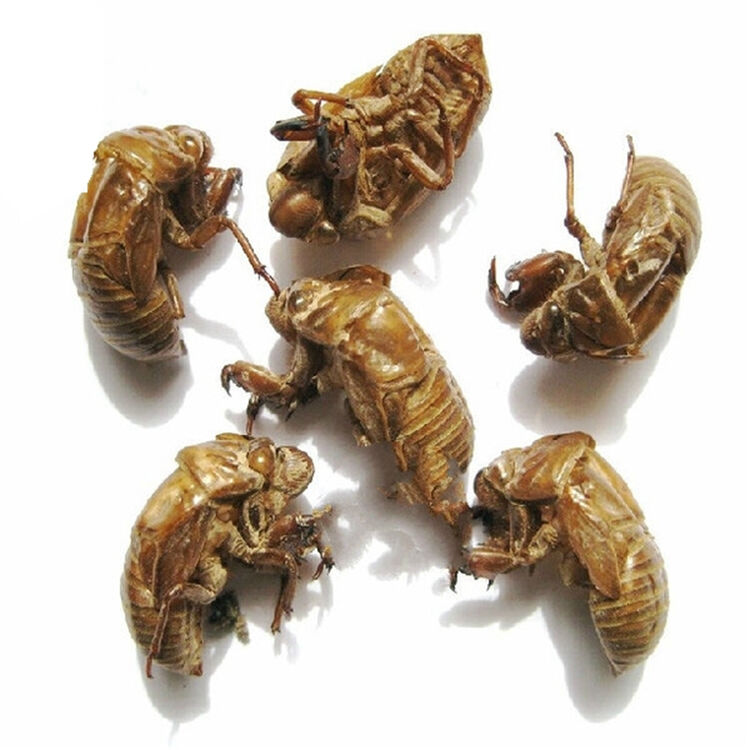 京东购物-商品详情