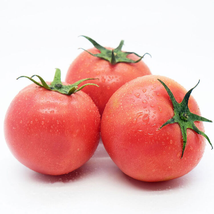 云南蔬菜 新鲜西红柿 番茄 农家成熟水果 现摘现发2.5kg 2.5kg