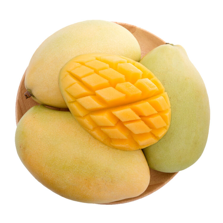 广西高乐蜜芒果4个装 单果250g以上 新鲜水果