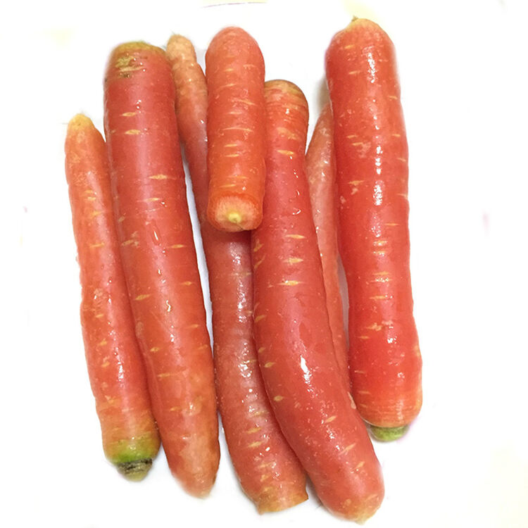 四川透心红水果胡萝卜 新鲜红萝卜农家蔬菜 2500g