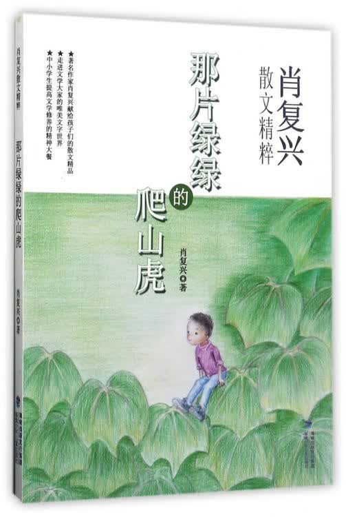 那片绿绿的爬山虎/肖复兴散文精粹