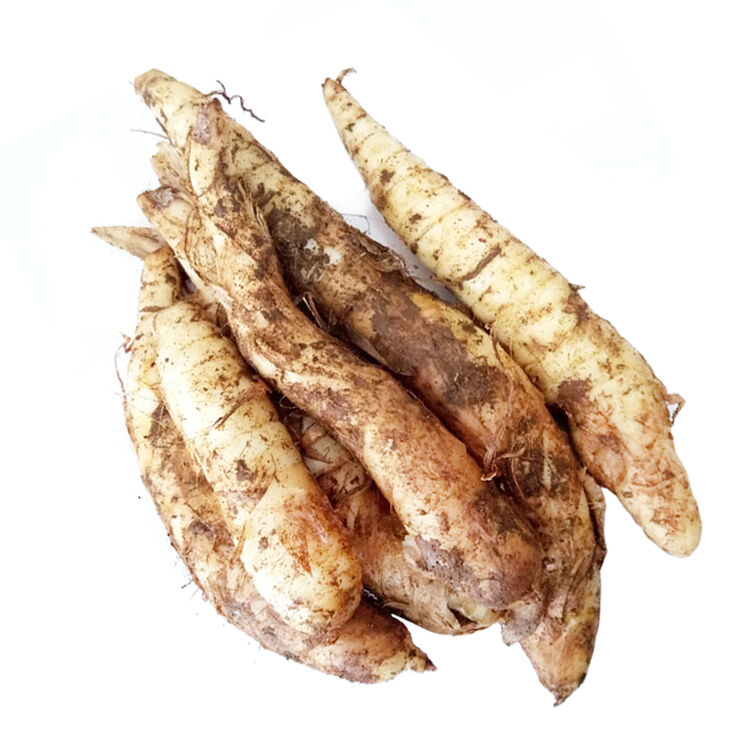 广东农家冬薯竹薯新鲜竹芋绵薯节薯冬笋薯苓薯竹根薯冬芋番25kg