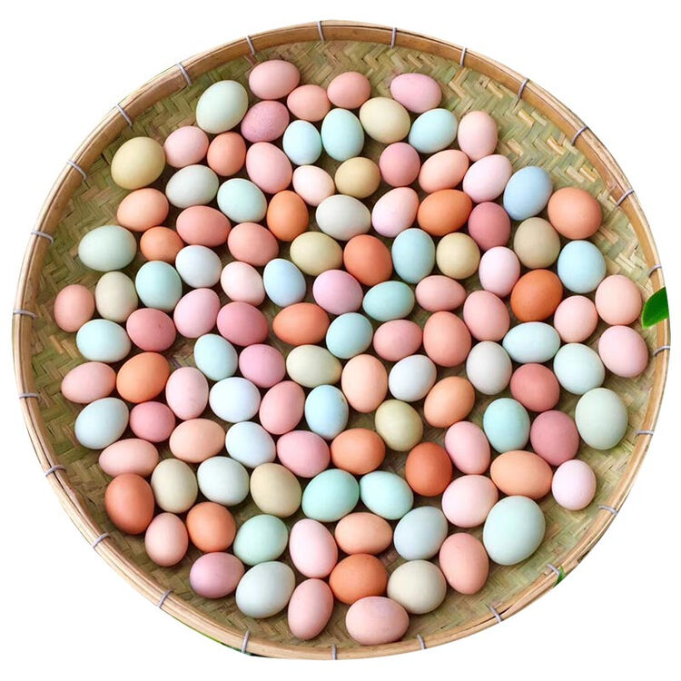 贝江村 土鸡蛋农家散养 新鲜七彩山鸡蛋 孕妇月子柴笨鸡蛋32枚装