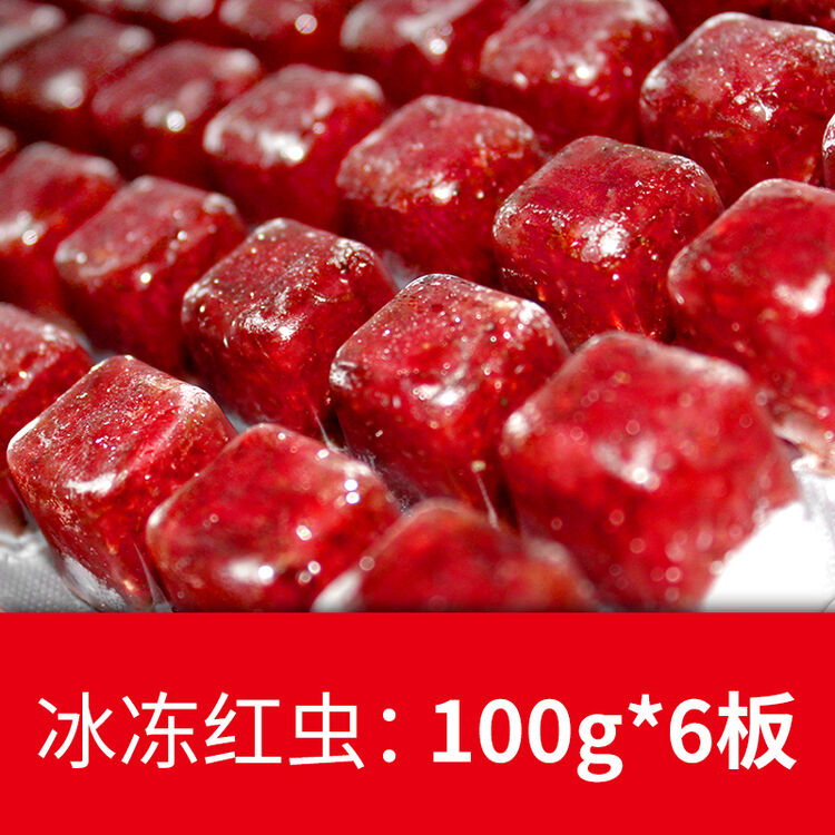 冷冻红虫冰冻血虫冻赤虫红线虫丰年虾娃娃鱼罗汉鱼七彩鱼食鱼饲料