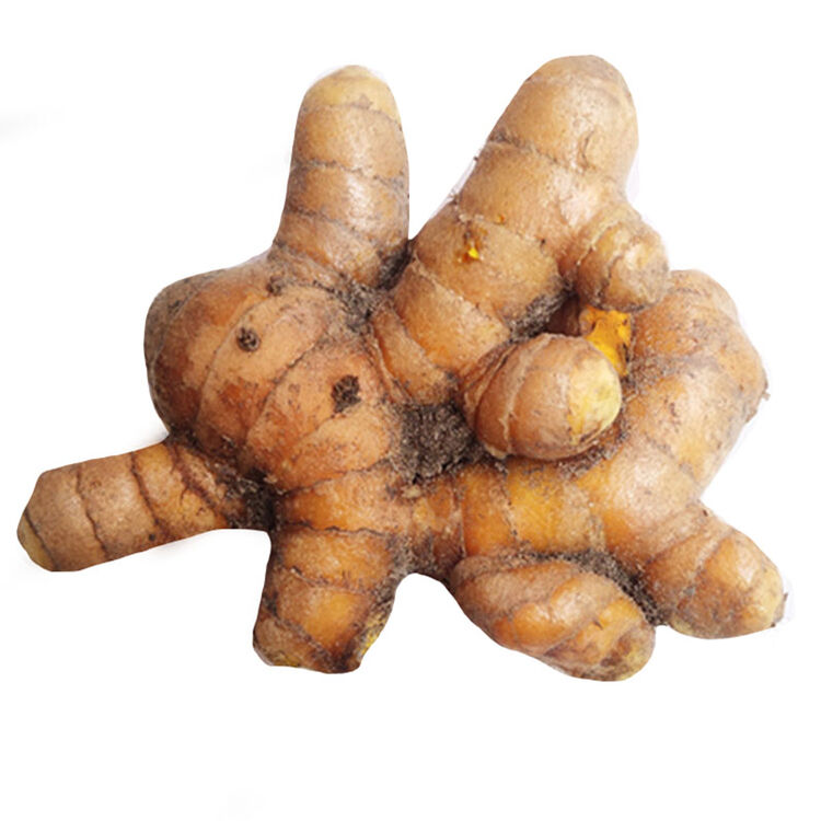 姜黄500g 泰国姜黄 咖喱姜黄 调味小黄姜 冬阴功调料 新鲜蔬菜