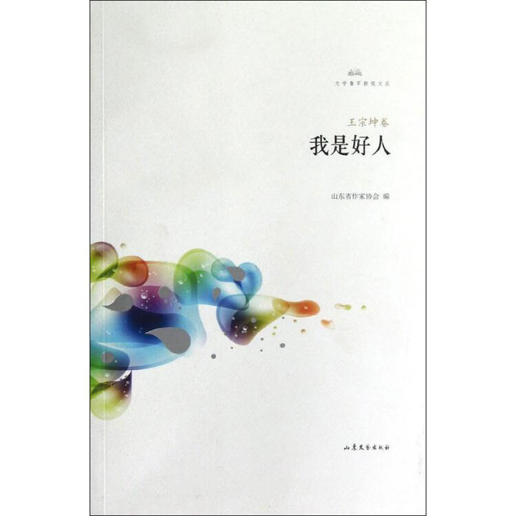 我是好人:王宗坤卷