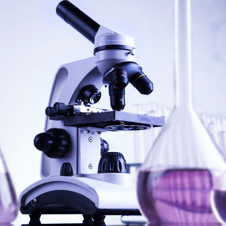 saga萨伽 专业儿童学生生物显微镜1600倍便携科普套装可接电脑畜牧