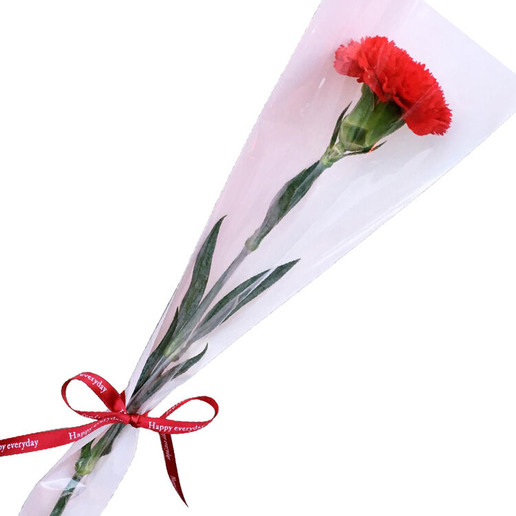 领香鲜花速递 单支康乃馨鲜花公司活动用花全国同城北京上海广州杭州