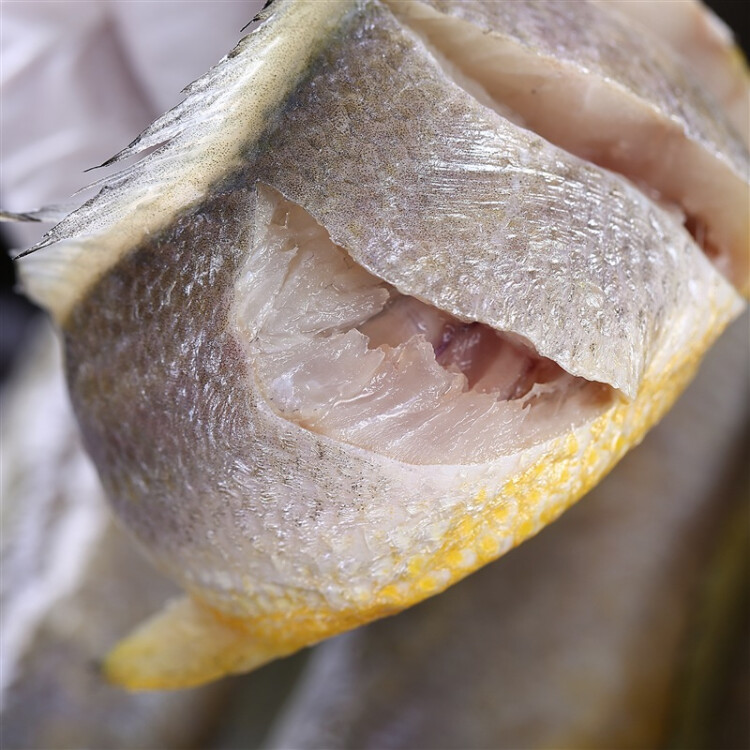 海名威冷凍三去黃花魚600g 3/4條 寧德大黃魚 海魚 生鮮 魚類 海鮮水產