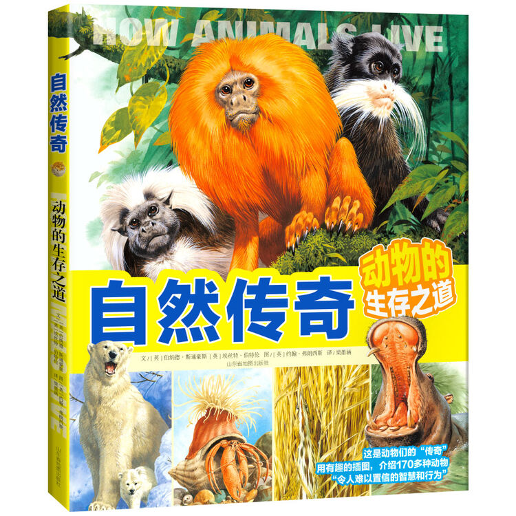 商品图