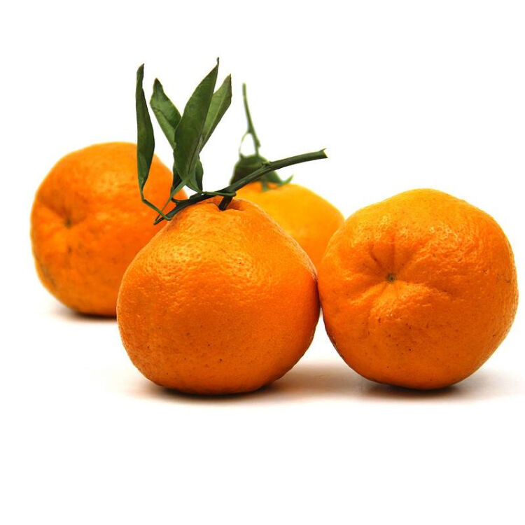 蔡家洼 丑橘丑柑 不知火 粑粑柑 新鲜水果 年货 2kg