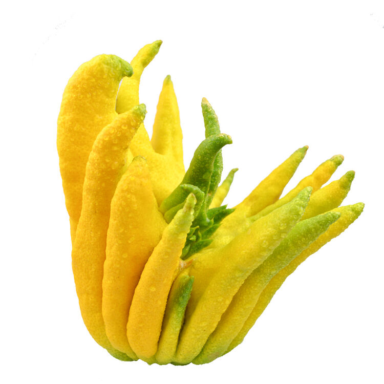 香宜惠 精品佛手果 佛手柑 佛手瓜 1斤