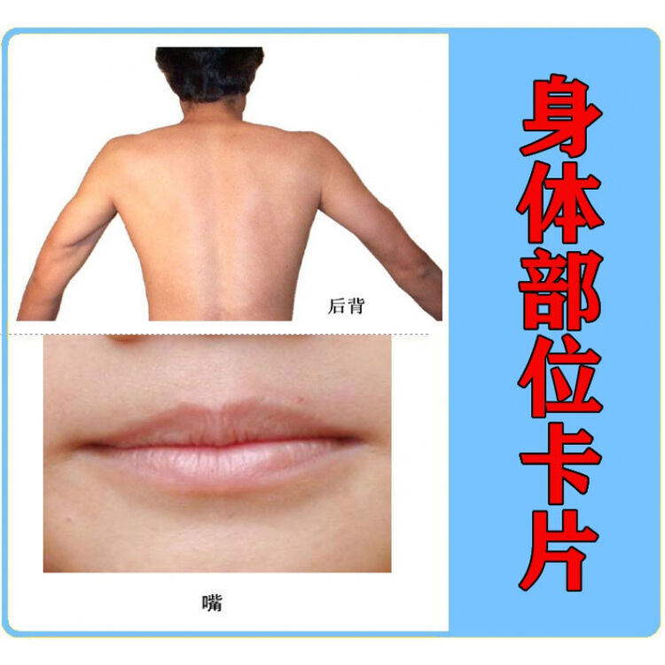 正画卡贴身体部位卡片 自闭症孤独症发育迟缓aba语言训练康复训练认知