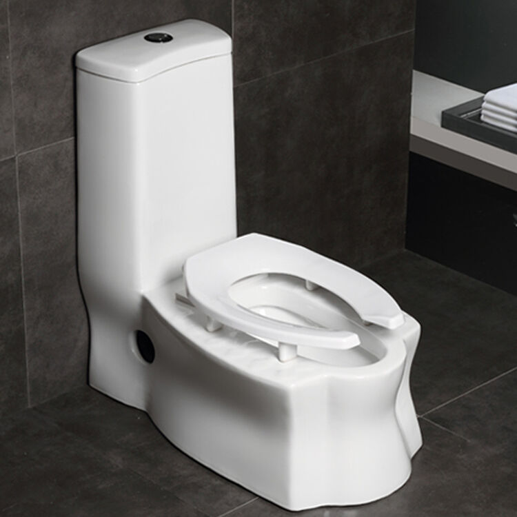 家用蹲坐两用蹲便器马桶静音虹吸式大管极速排污 智洁纳米釉面 高支架