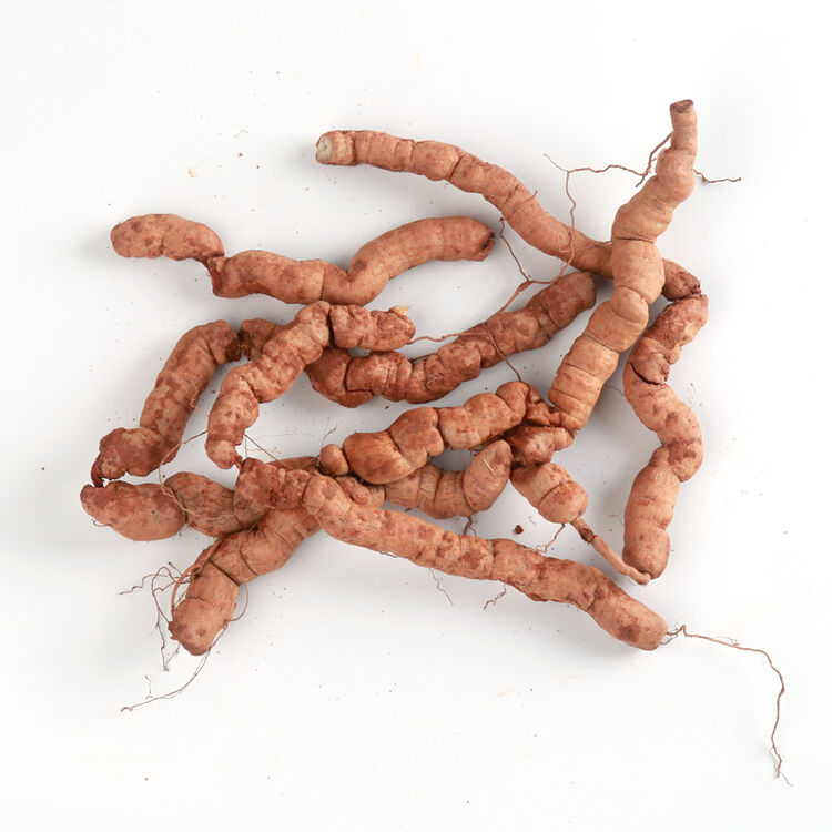 博多客 新鲜巴戟天 500g 巴戟天 泡酒 巴戟鸡肠风 生鲜