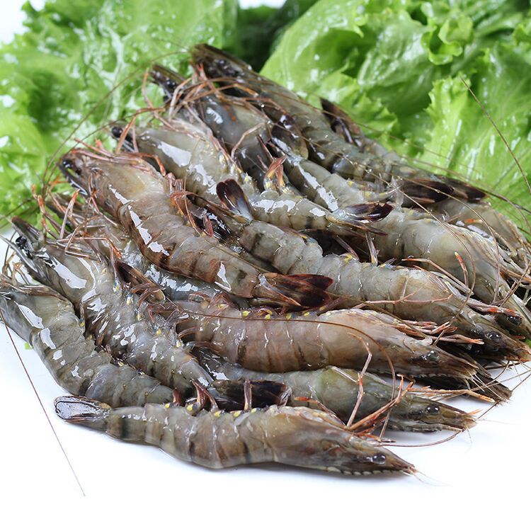 沙沫 虎虾约500g/15只/盒 野生黑虎虾 深海斑节虾