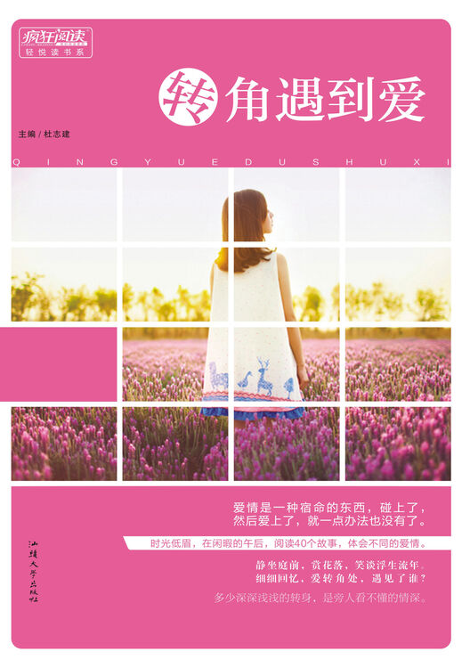 天星教育·疯狂阅读轻悦读 转角遇到爱 自营