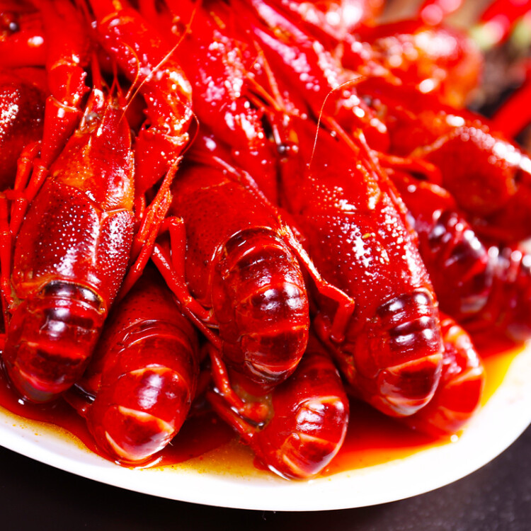 红小厨 十三香小龙虾 1.5kg 4-6钱/25-38只 净虾750g 火锅食材 海鲜水产 光明服务菜管家商品 
