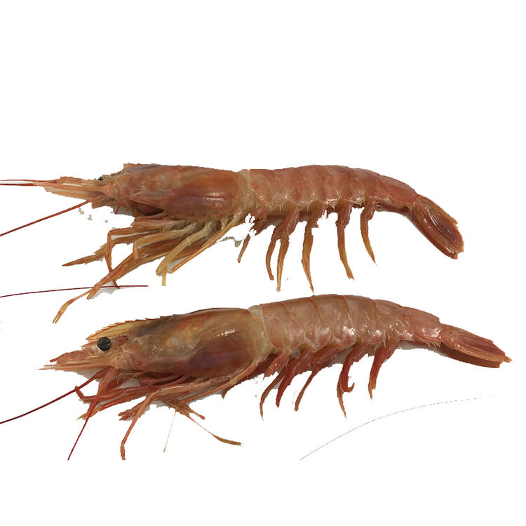 鱼姐海成 青岛新鲜冷冻南美红虾 半斤/份 袋装