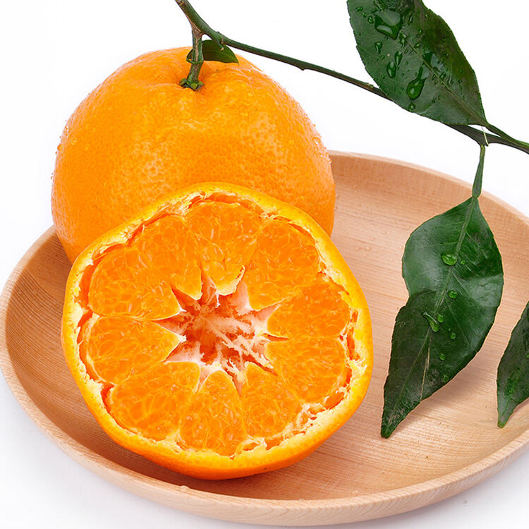 【滨州馆】 青见橘子 丑橘 新鲜水果 2kg