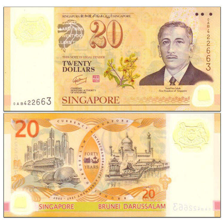 【甲源文化】亚洲-全新UNC 新加坡纸币 钱币收藏套装 20新元塑料钞 2007年 P-53 单张【图片 价格 品牌 评论】-京东